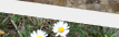 enter forum